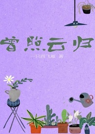 曾照辉个人简历
