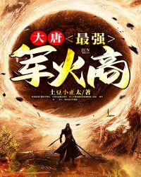 大唐军火商系统